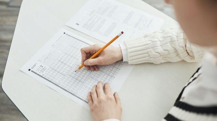 Latihan CPNS 2026: Panduan Belajar Mandiri untuk Pemula