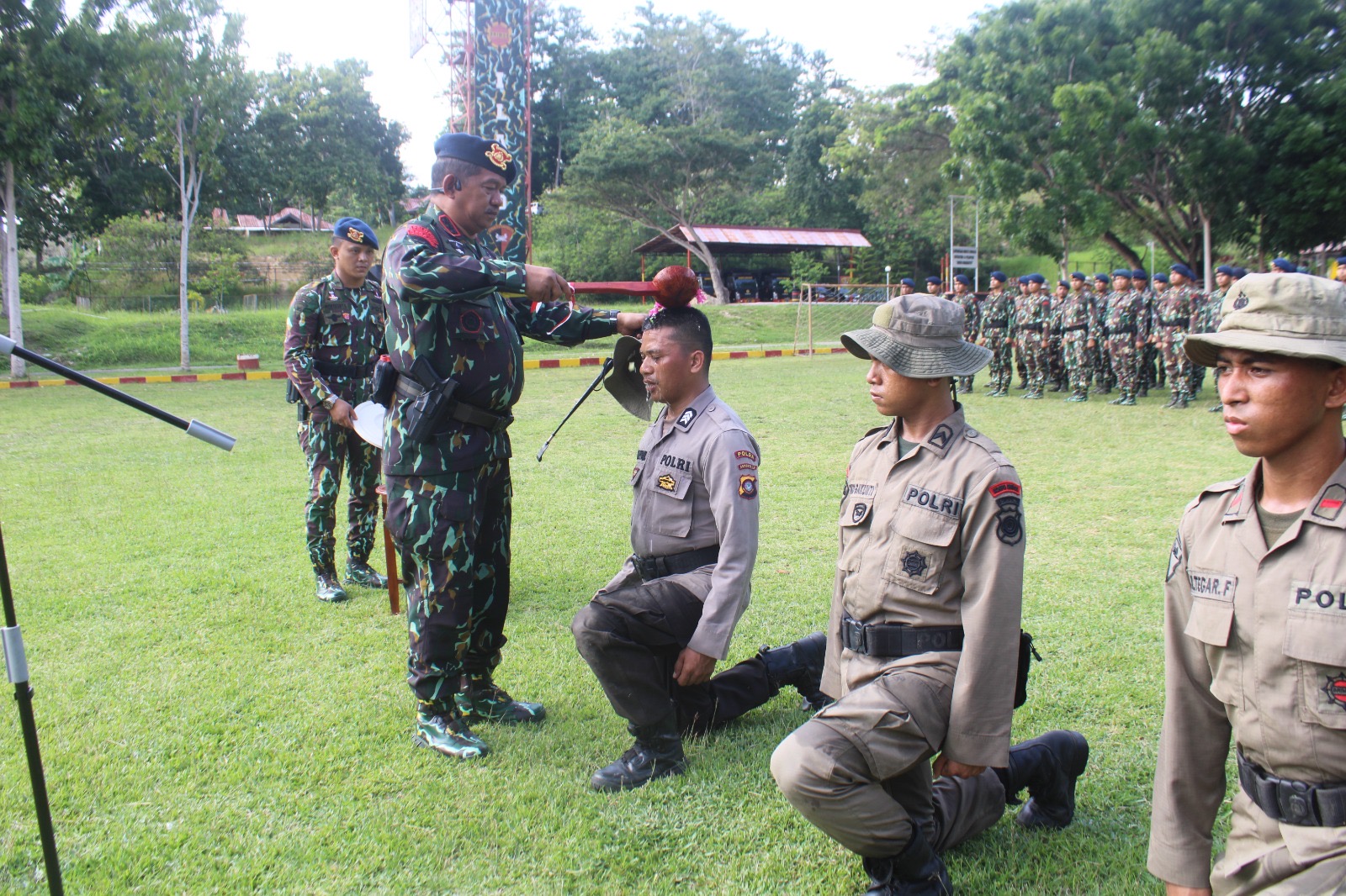 Tryout TNI Bintara 2025: Panduan Lengkap untuk Pemula dan Gap Year