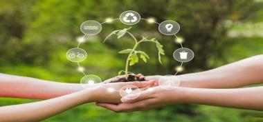 Kontribusi dan Partisipasi dlhprovinsijambi.id terhadap Lingkungan